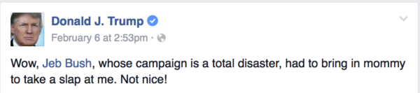 Ex. 3 Trump Status Post on Bush