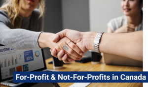 profnotprof_button2 For-Profit & Not-For-Profits in Canada